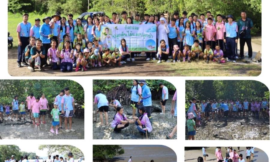 ปลูกป่าชายเลน ณ หาดตะวันรอน